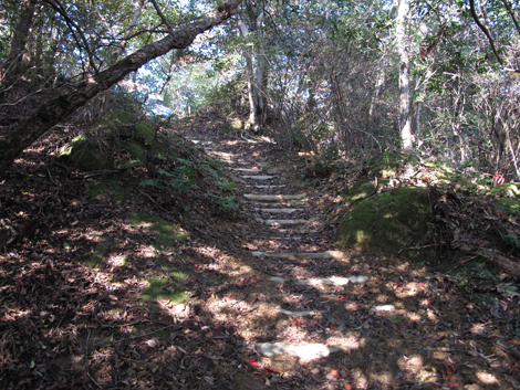 20131116hike (38)